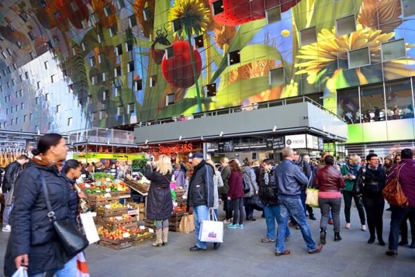 Visit The Hague, Delft and Rotterdam - Image 5