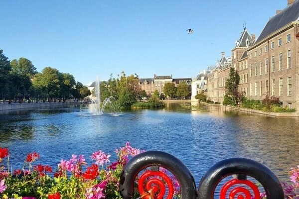 Visit The Hague, Delft and Rotterdam - Image 8