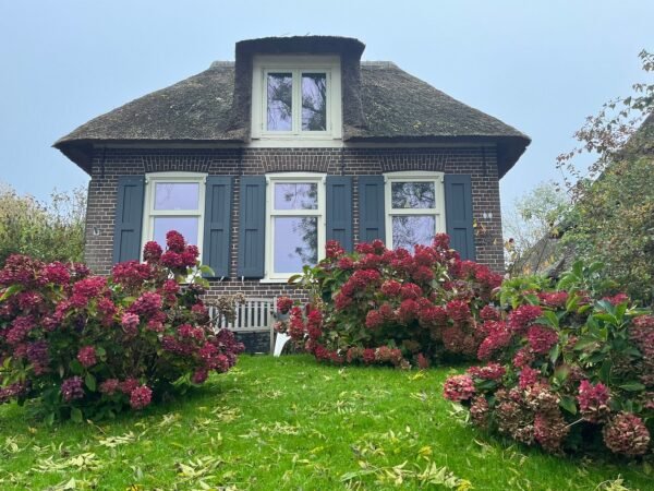 Giethoorn Day Trip from Amsterdam with Boatride - Image 11