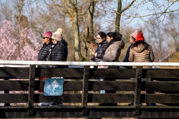 Giethoorn Day Trip from Amsterdam with Boatride - Image 6